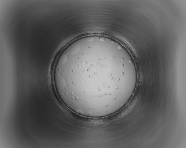 X0000102800978200808180929