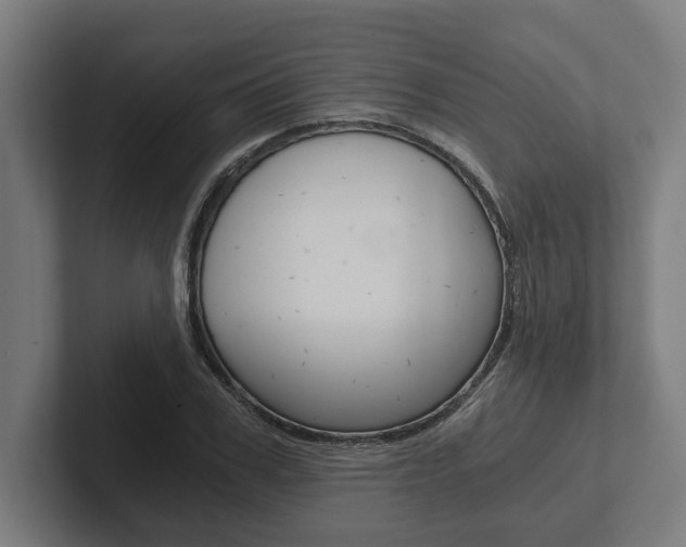 X0000102800979200808180929