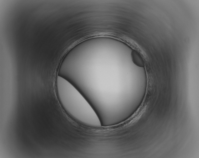 X0000102800985200808180929