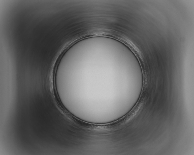 X0000102800986200808180929