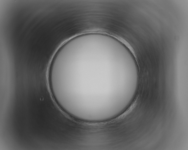 X0000102800989200808180929