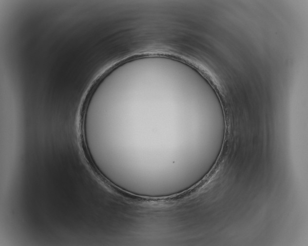 X0000102800990200808180929