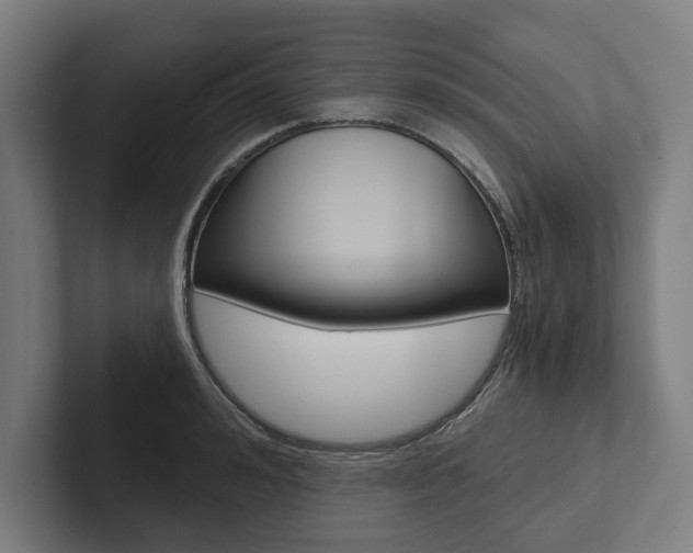 X0000102800992200808180929