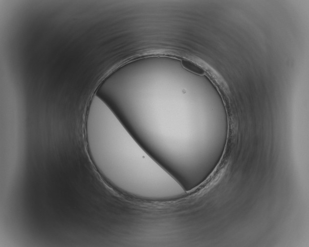 X0000102800993200808180929