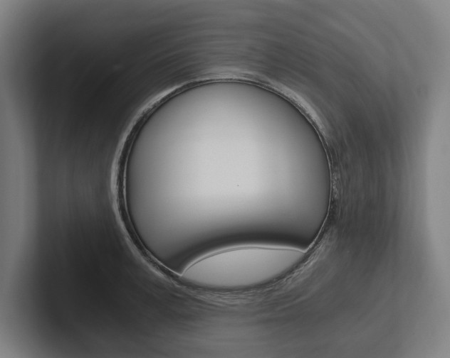X0000102800995200808180929