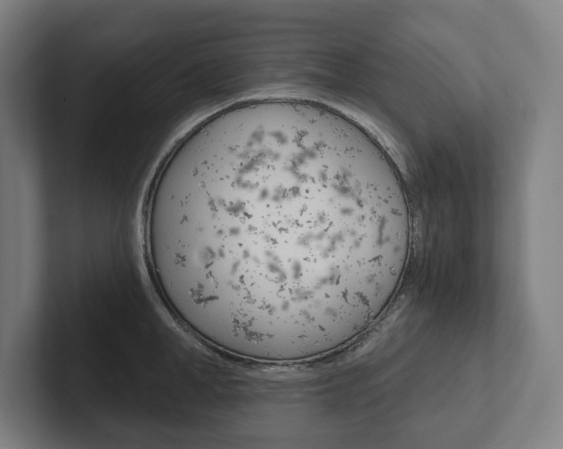 X0000102800998200808180929