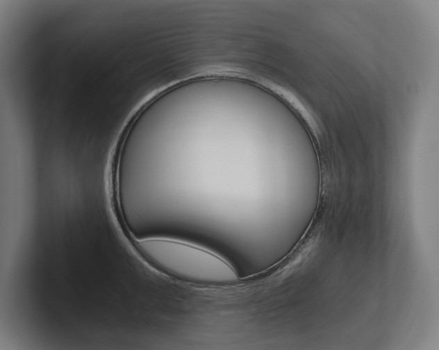 X0000102800999200808180929