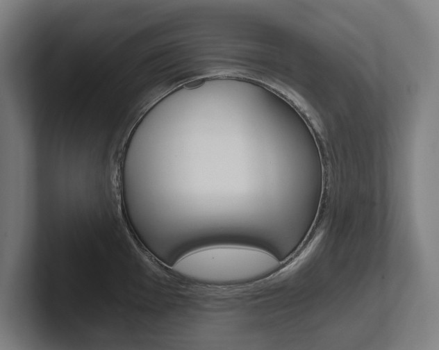 X0000102801001200808180929