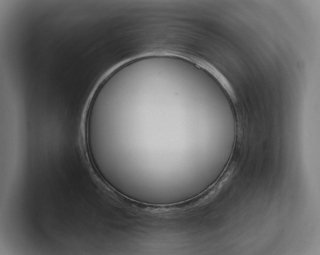 X0000102801004200808180929