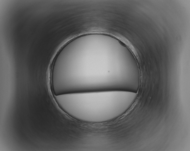 X0000102801006200808180929