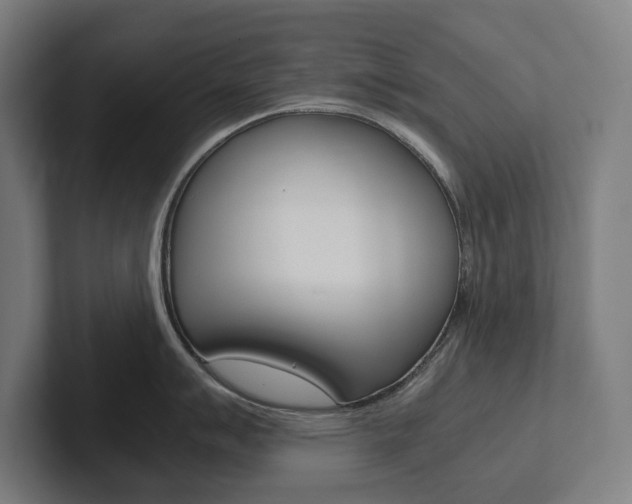 X0000102801007200808180929
