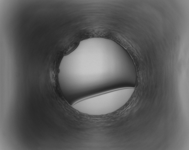 X0000102801010200808180928