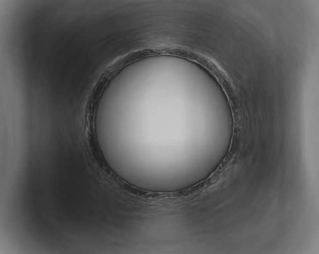 X0000102801016200808180928