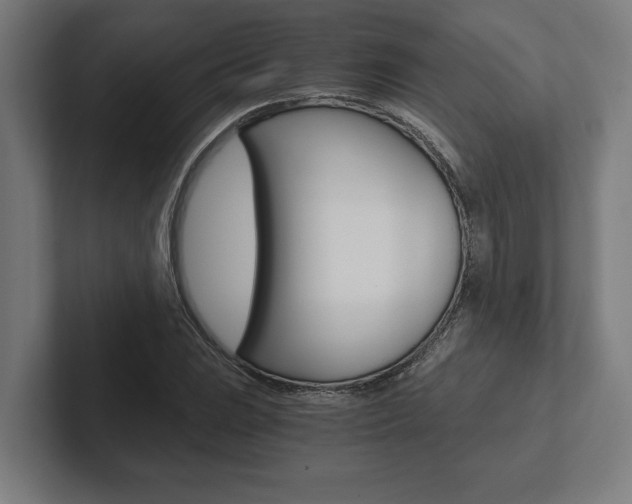 X0000102801023200808180928