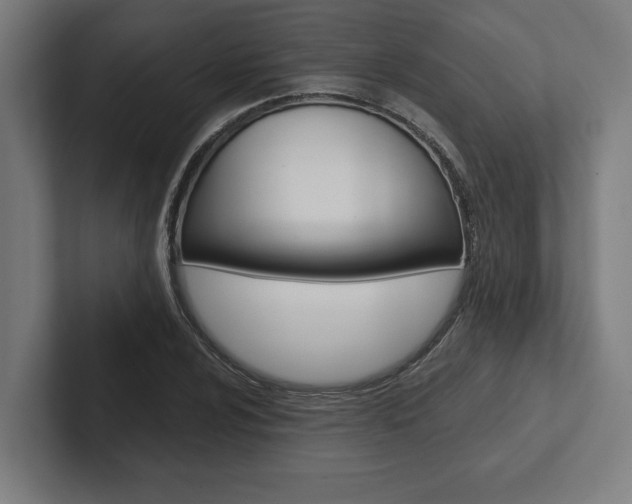 X0000102801024200808180928