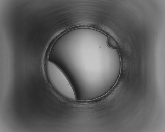 X0000102801026200808180928