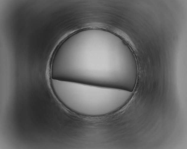 X0000102801040200808180928