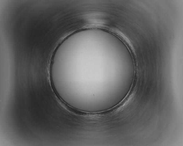 X0000102801041200808180928