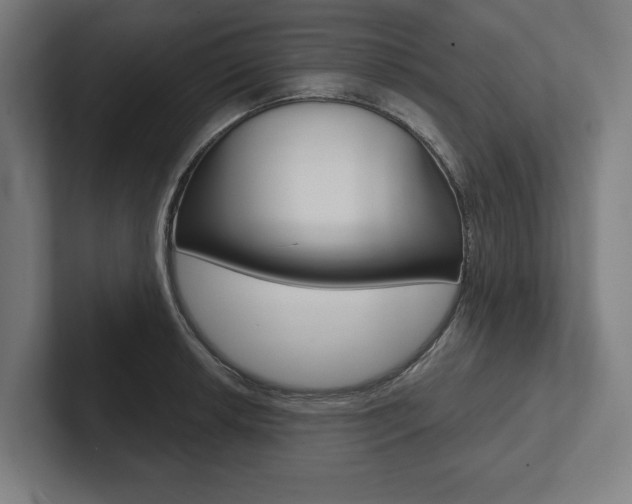 X0000102801042200808180928
