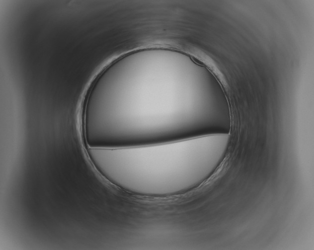 X0000102801054200808180929