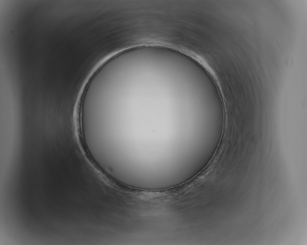 X0000102801056200808180929