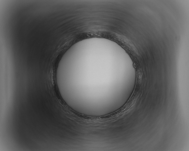 X0000102801060200808180928