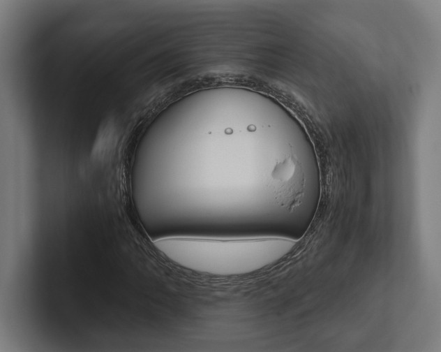 X0000102801062200808180928
