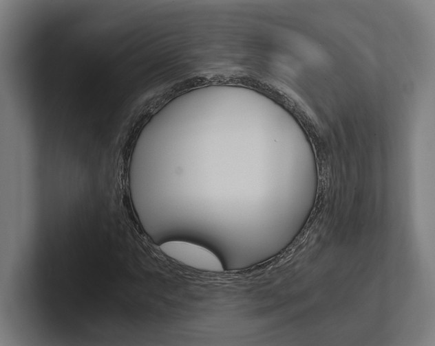 X0000102801063200808180928