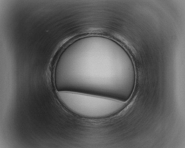 X0000102801066200808180928