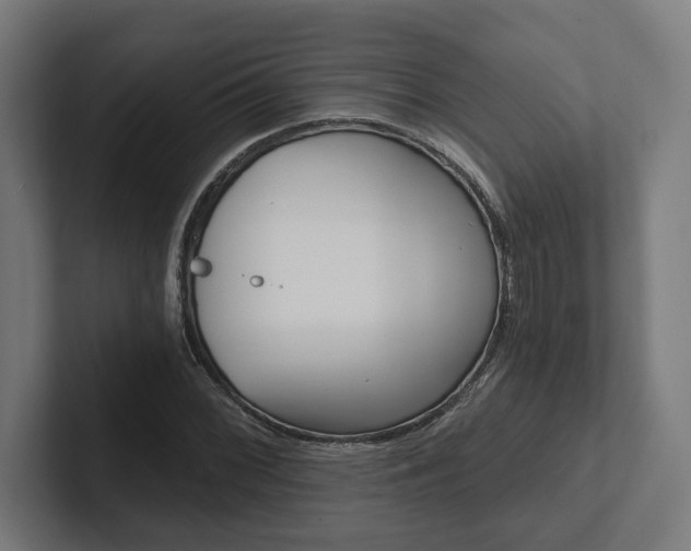 X0000102801068200808180928