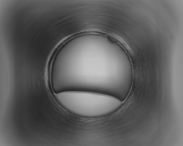 X0000102801076200808180928