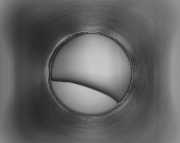 X0000102801079200808180928