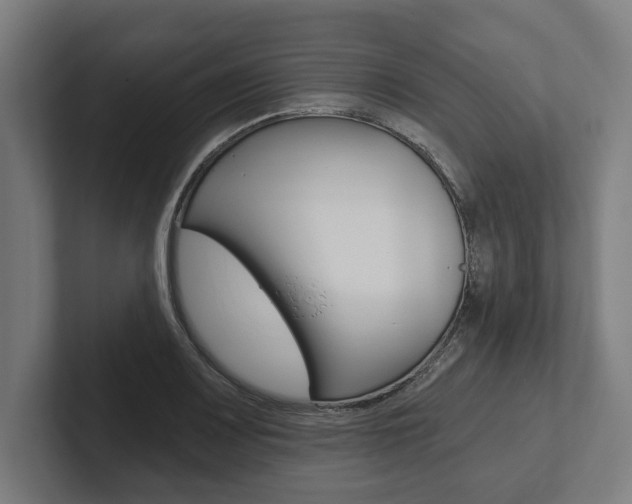 X0000102801083200808180928