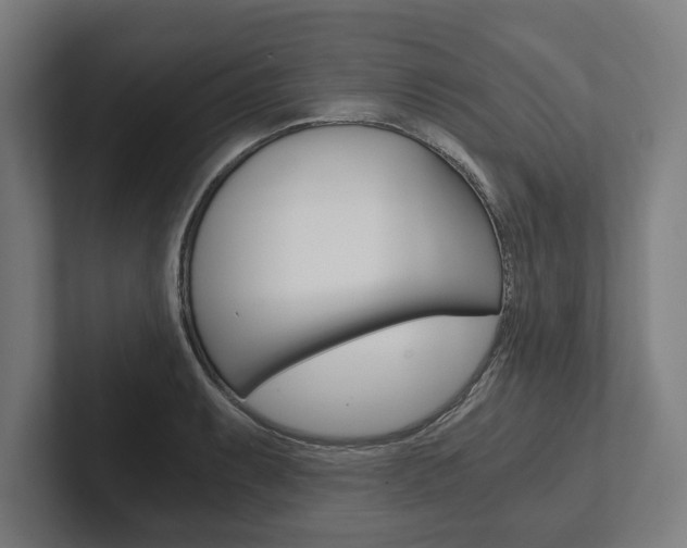 X0000102801087200808180928