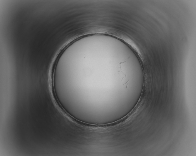 X0000102801088200808180928