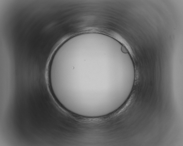 X0000102801090200808180928