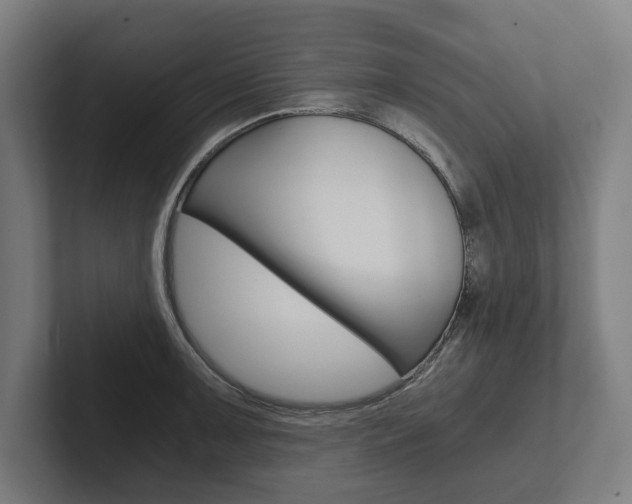 X0000102801091200808180927