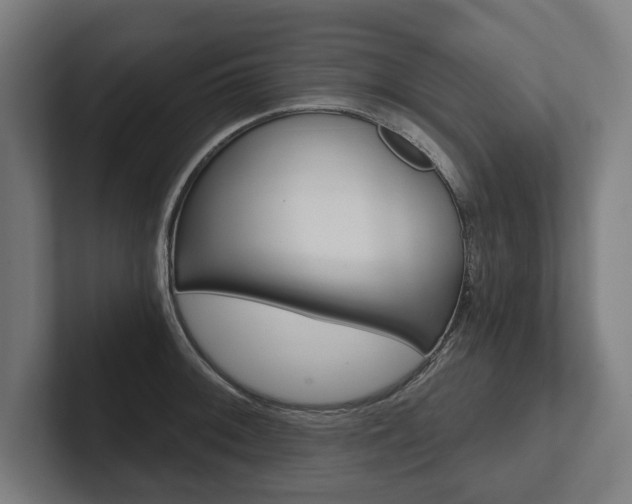 X0000102801092200808180927