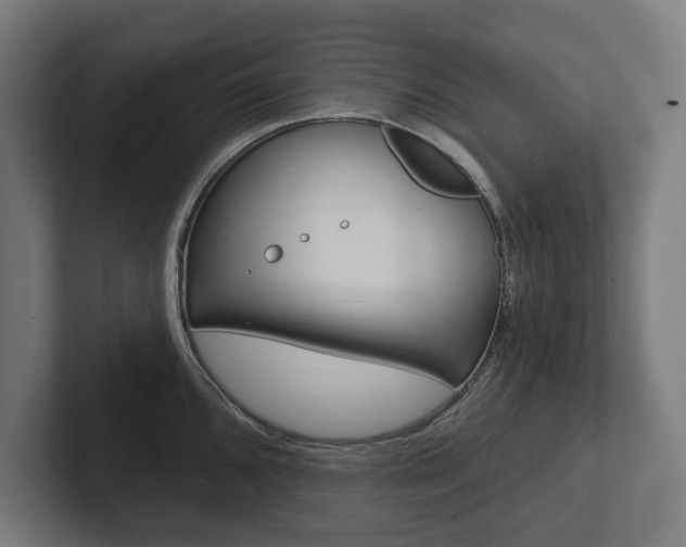 X0000102801096200808180927