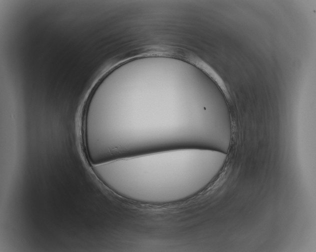 X0000102801099200808180927