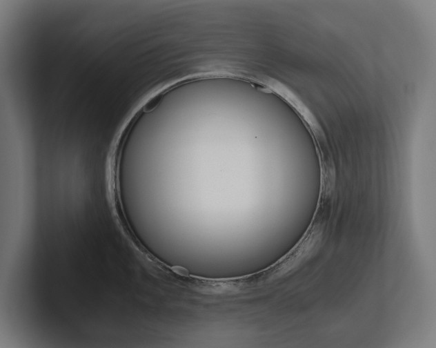 X0000102801101200808180927