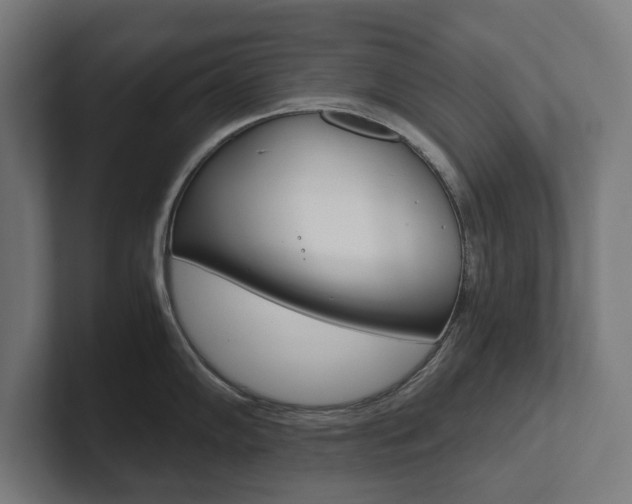 X0000102801102200808180927