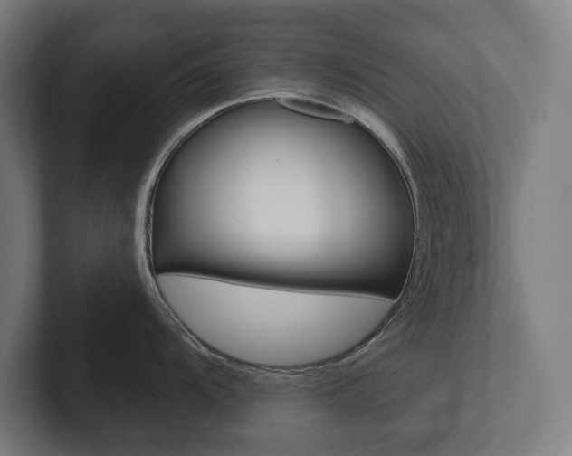 X0000102801104200808180927
