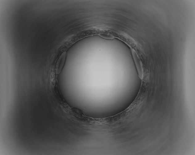 X0000102801110200808180927