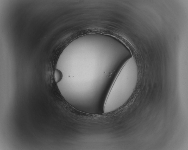 X0000102801111200808180927
