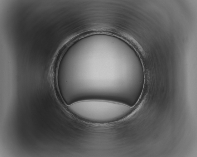 X0000102801114200808180927