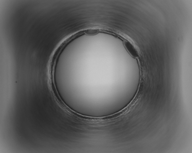 X0000102801120200808180927