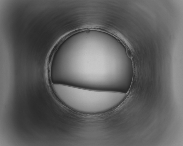 X0000102801124200808180927