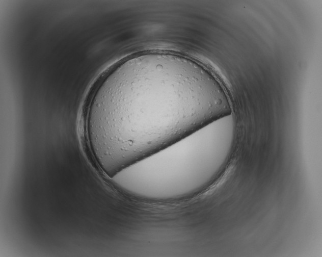 X0000102801125200808180927