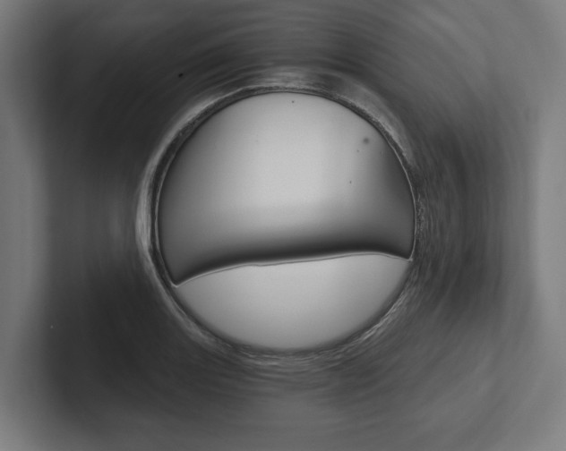 X0000102801131200808180927